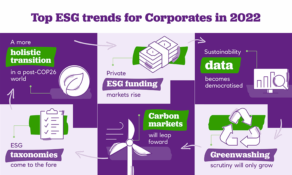 Sustainability infographic