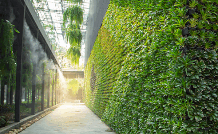 Photo of a corridor with plants covering the walls