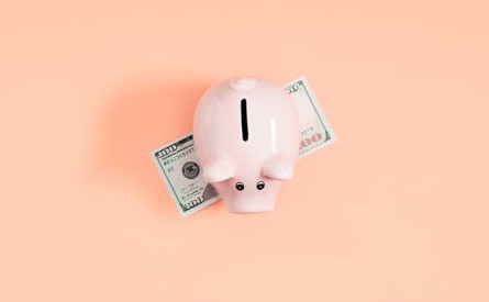 Photo of a piggy bank standing over a bank note on a pink background.